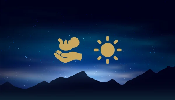 THÈME NATAL  + RÉVOLUTION SOLAIRE